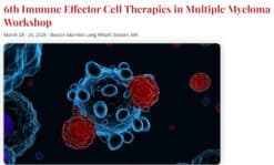 International Myeloma Society 6th Immune Effector Cell Therapies in Multiple Myeloma Workshop 2025