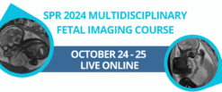 Society for Pediatric Radiology SPR 2024 Multidisciplinary Fetal Imaging Course